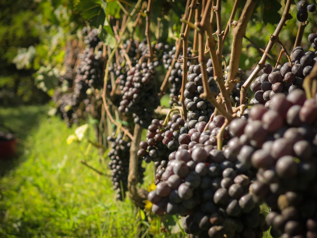 Il Molinaccio Di Montepulciano Villa Luaran gambar