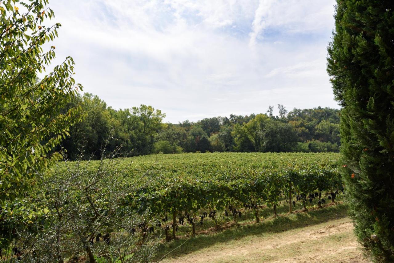 Il Molinaccio Di Montepulciano Villa Luaran gambar